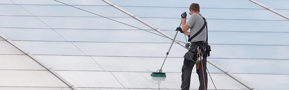 Roof Cleaning