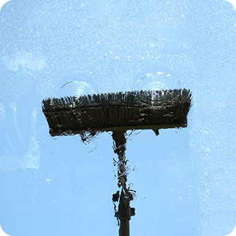 Periodical Cleaning & Windows 1 Reach and Wash
