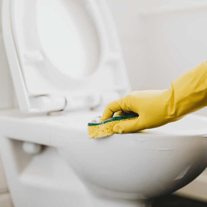 Cleaning a toilet